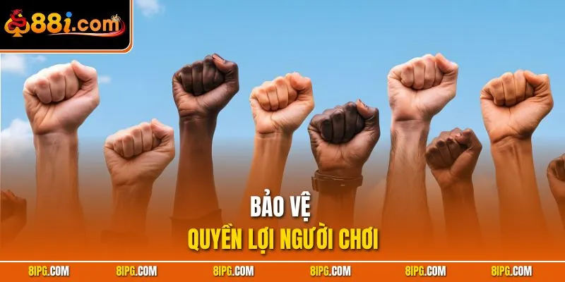 Miễn Trừ Trách Nhiệm 88I - Chi Tiết Quyền Lợi Và Rủi Ro Cược