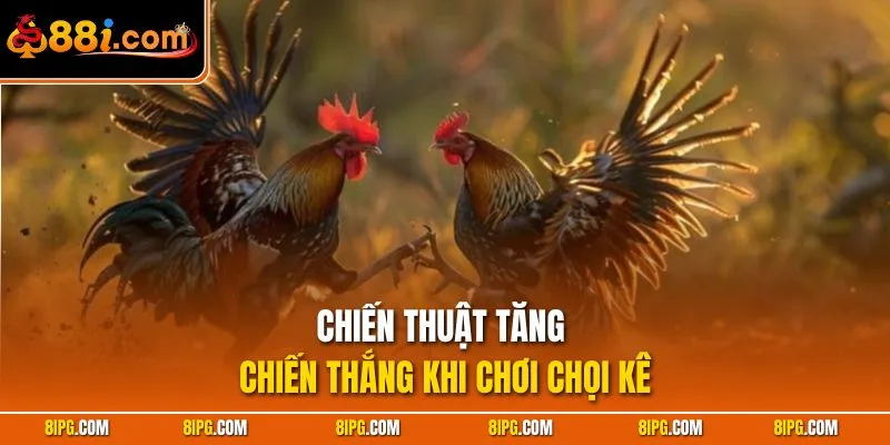 Đá Gà 88I - Danh Mục Cược Trận Đấu Chiến Kê Thượng Hạng