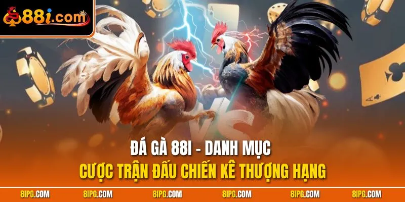 Đá Gà 88I - Danh Mục Cược Trận Đấu Chiến Kê Thượng Hạng