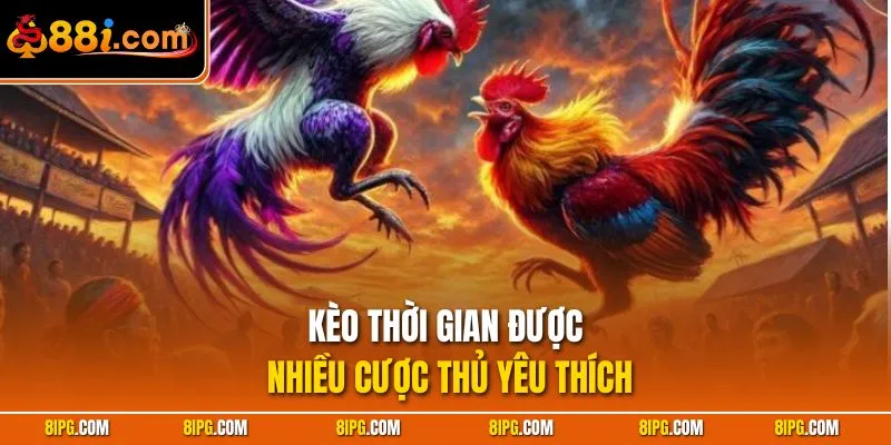 Kèo Đá Gà 88I - Những Loại Cược Khi Theo Dõi Gà Chọi 