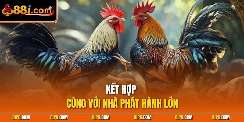 Đá Gà 88I - Danh Mục Cược Trận Đấu Chiến Kê Thượng Hạng