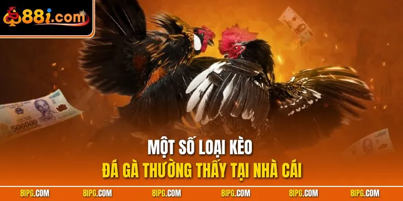 Kèo Đá Gà 88I - Những Loại Cược Khi Theo Dõi Gà Chọi 
