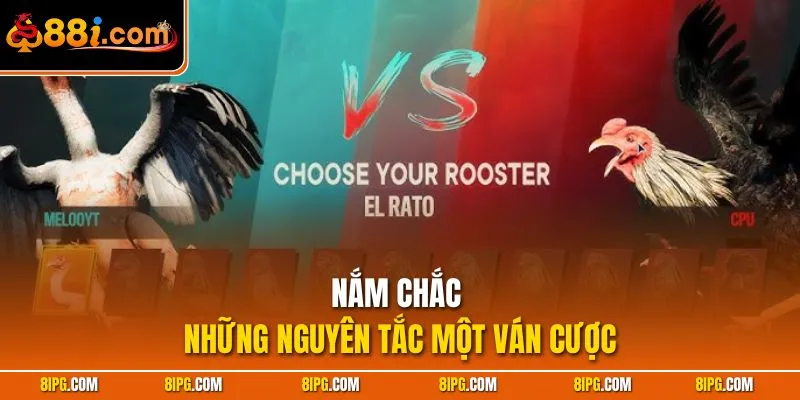 Đá Gà 88I - Danh Mục Cược Trận Đấu Chiến Kê Thượng Hạng