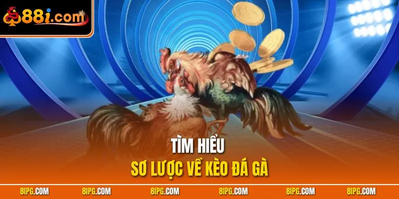 Kèo Đá Gà 88I - Những Loại Cược Khi Theo Dõi Gà Chọi 