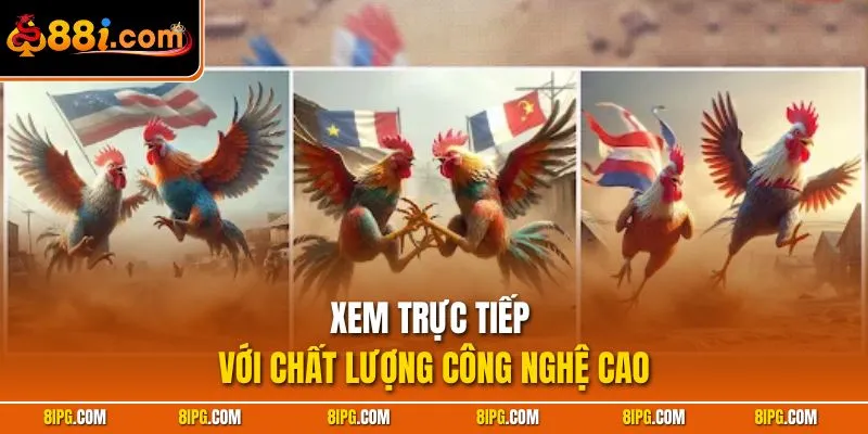 Đá Gà 88I - Danh Mục Cược Trận Đấu Chiến Kê Thượng Hạng